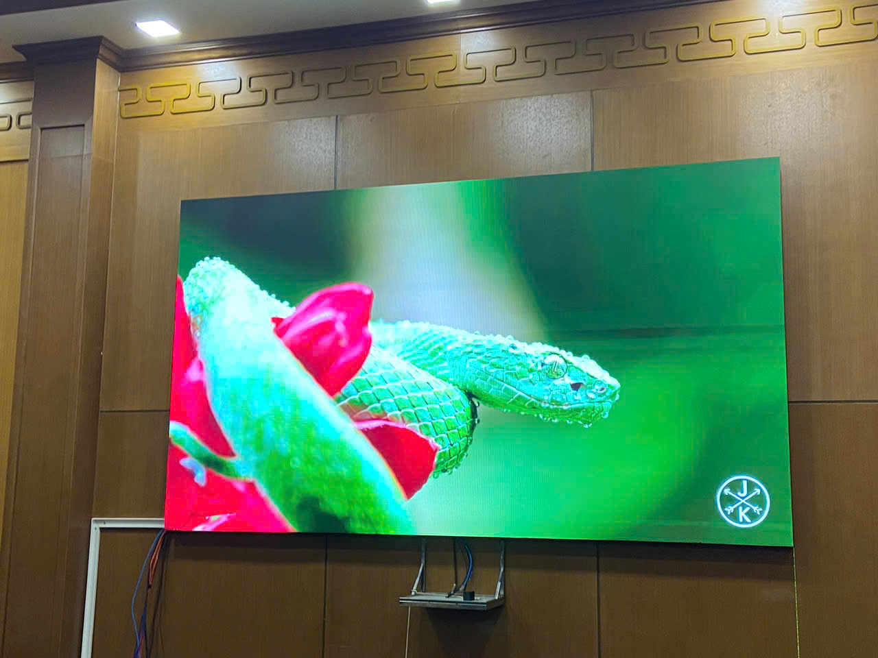 Đánh giá màn hình LED Full Color: Có thực sự đáng tiền?